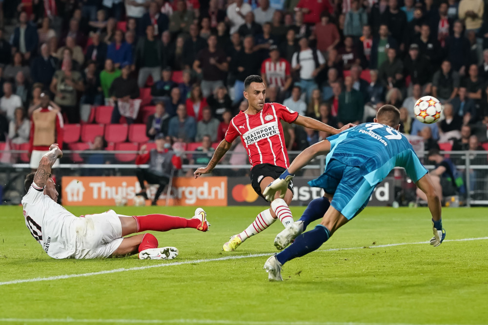 为游客带来 为游客带来