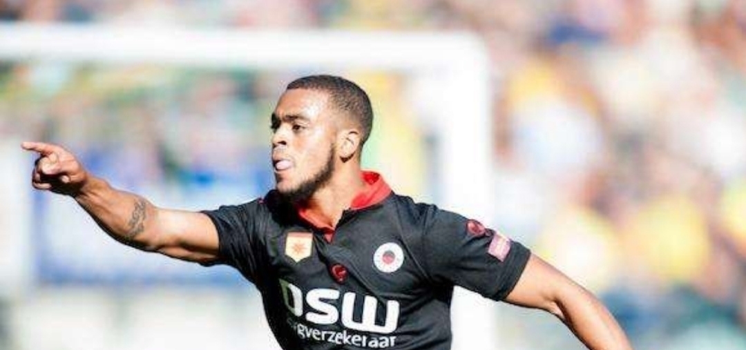 的纽约友好 的纽约友好